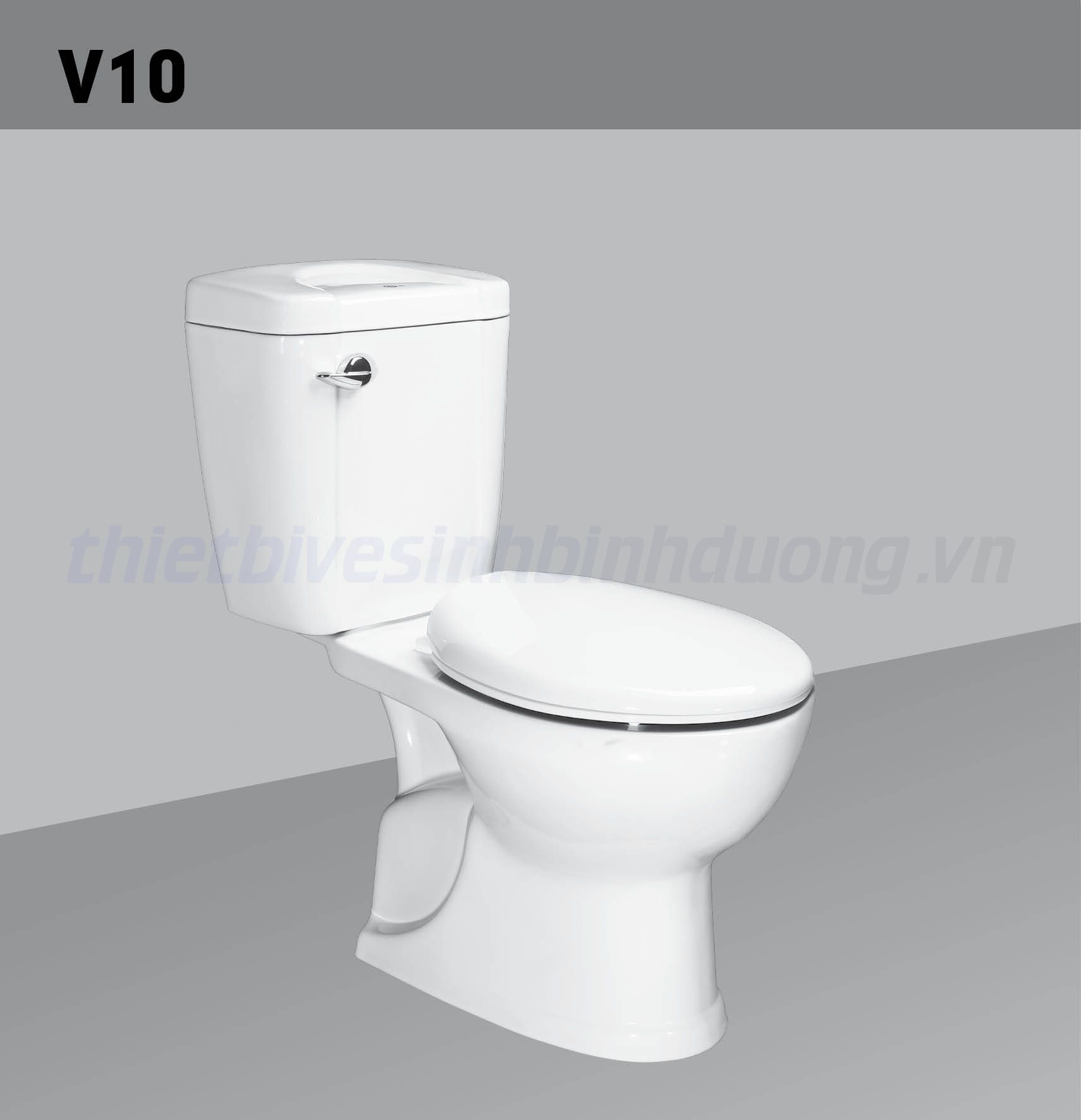 Bồn cầu sứ Hảo Cảnh HC V10